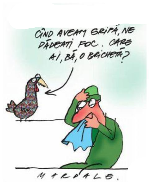 mardale_catavencu_30012008