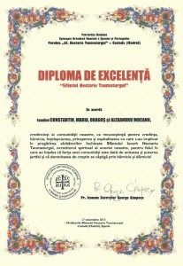 Diploma 2