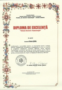 Diploma 3