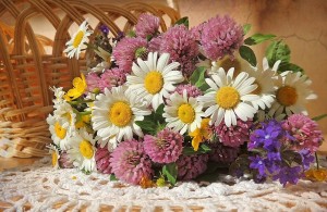 1501600_718895774810513_1893920659_o