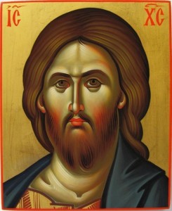 537327_508112549229646_682279109_n