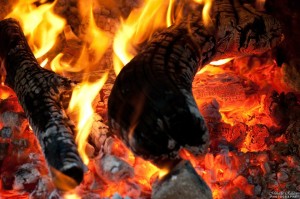 598561_444707998911764_513013814_n