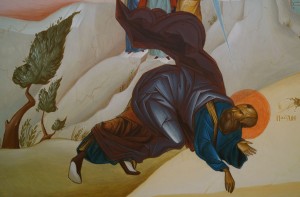 902556_218673038298416_1617393997_o