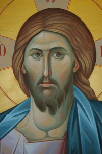 1374987_736430359716785_1504813096_n