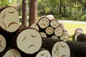 Poor-Little-Tree-Faces-2