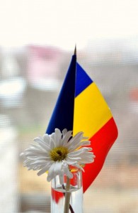 1381279_863623683669939_8930934877714222570_n