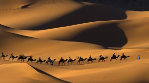 Camel-trekking-in-Erg-Chebbi