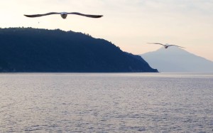 Pelerinaj-Muntele-Athos-Foto-AurelVirlan-Emails8