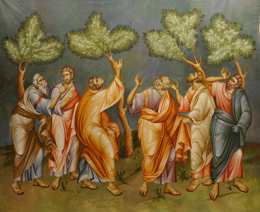 411846_3740255583809_1034389145_o