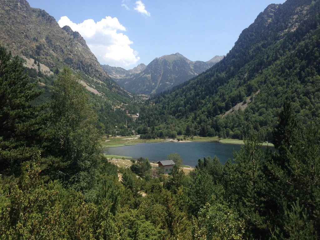 11717525_1467738933543995_9124420982270966598_o