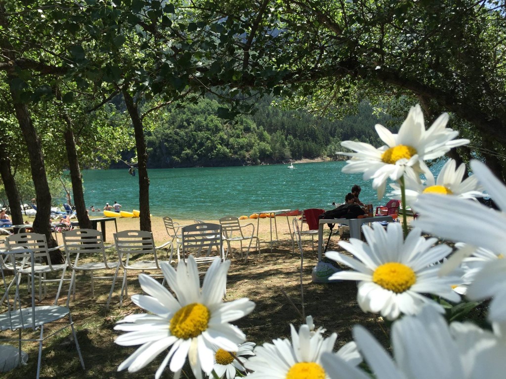 11728813_1467733453544543_8027821176817628101_o