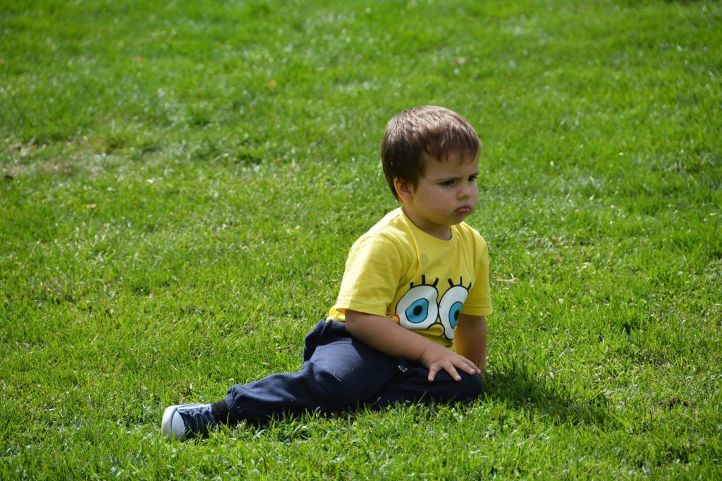 12002417_1020493344649638_2033246285949215718_o