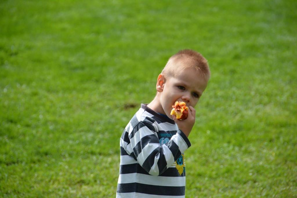 12006441_1020493454649627_2324964087435647035_o