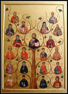 1 Eu sunt vita iar voi  mladitele-Colslada 4