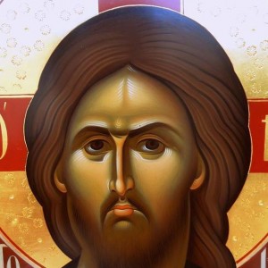 11745368_987300271302279_473056131454621168_n