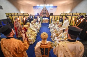 DSC_6784_w747_h800_q100