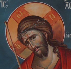 10155163_857909054235581_152765541919345287_n