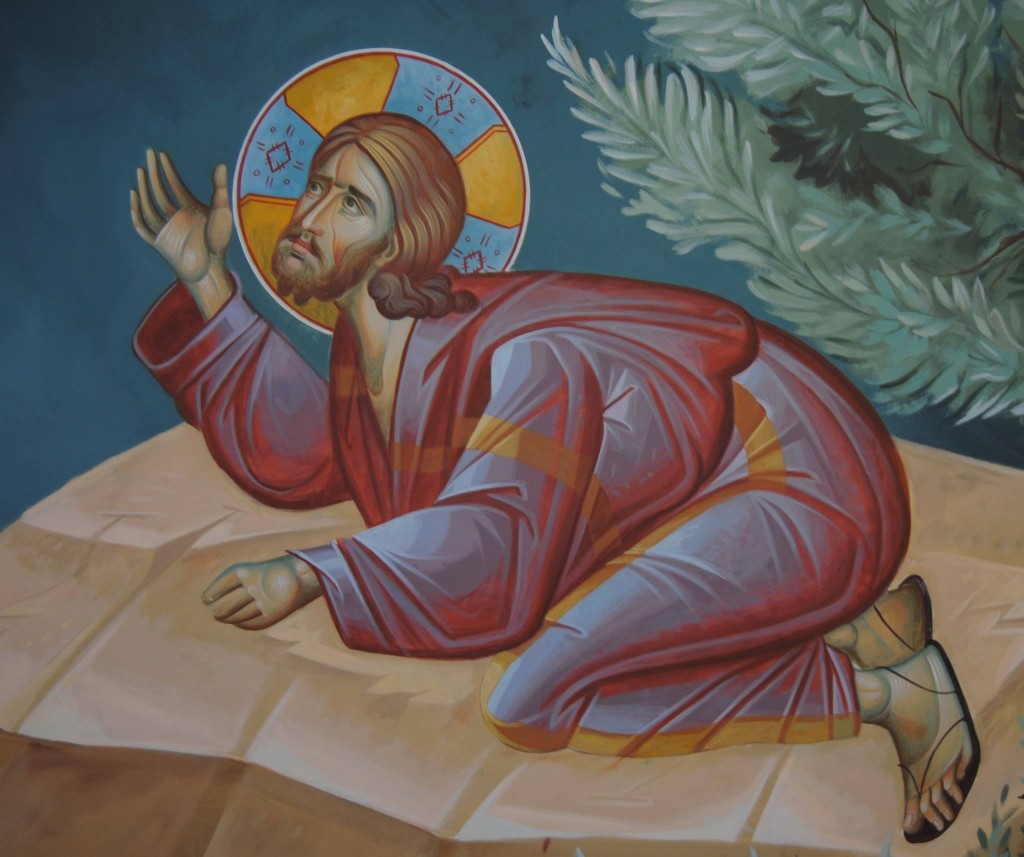 10256054_859673427392477_1302479810920517427_o