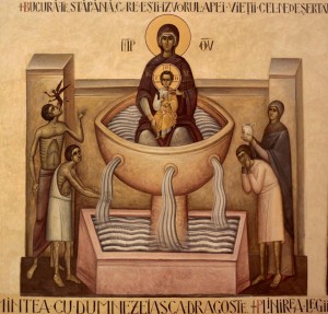 13178900_10154164778378570_4505186123189087923_n