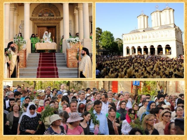 6307_p17p6896qq133r6vhgcp6l41l0ca