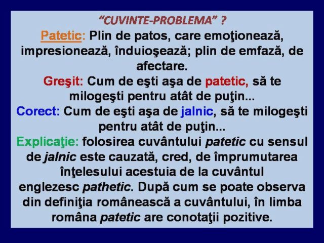 1234820_616382995108600_1384080773_n