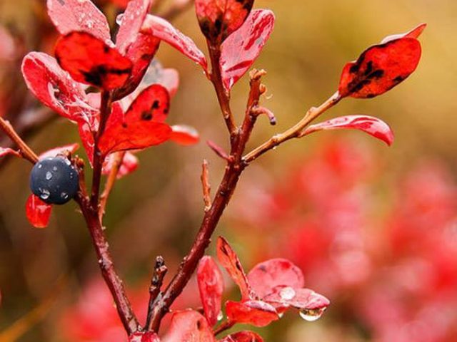 14853_589740624444001_909736707_n