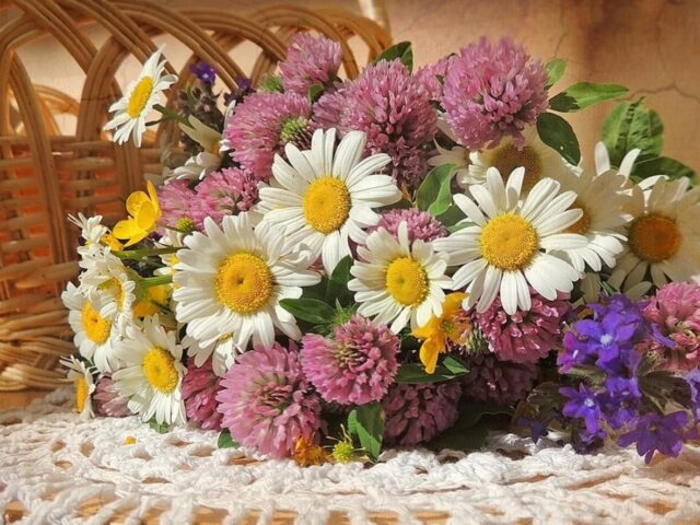 1501600_718895774810513_1893920659_o