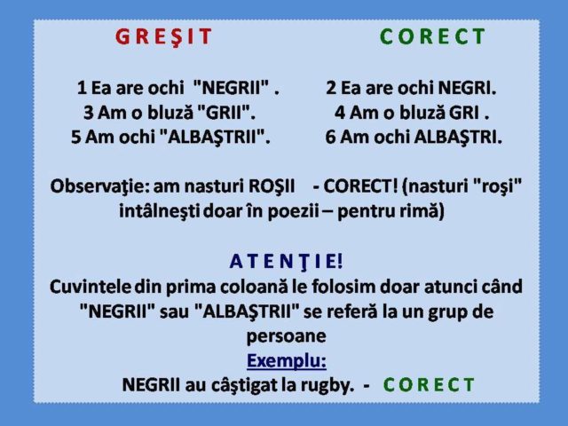 1618561_608988242514742_1539342919_n