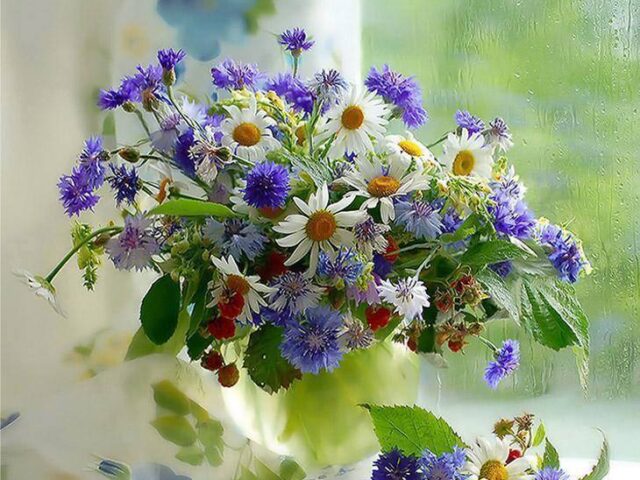 1982309_659745787396087_1151349162_n