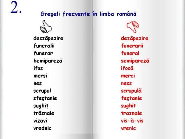 575981_300096723403897_806108727_n