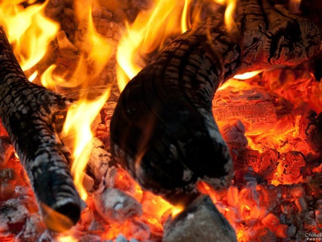 598561_444707998911764_513013814_n