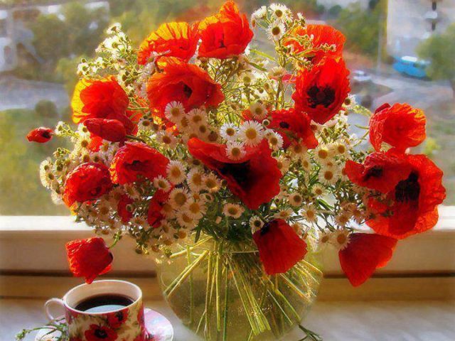 970291_367319173369198_492500177_n