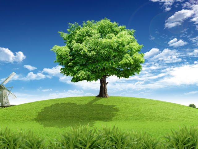 Kak-dostich-postavlennoy-tseli1