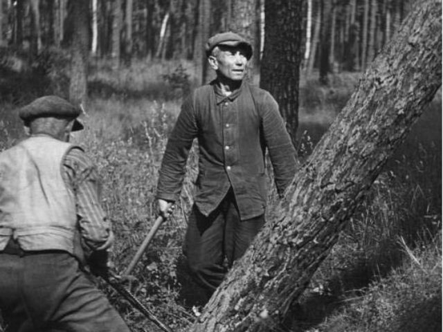 Mark Brandeburg, Holzfäller bei der Arbeit