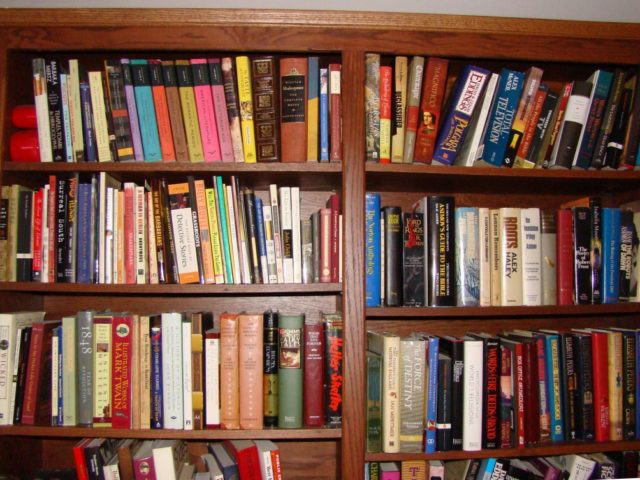 CCC-Mom-Bookshelves