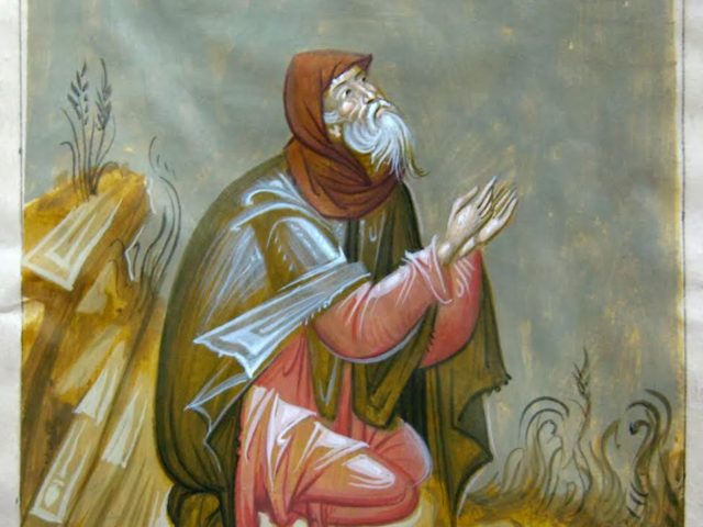 cordis_erga_003_edit