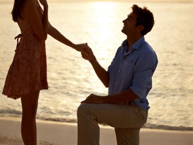 cea-mai-romantica-si-simpatica-cerere-in-casatorie-cum-a-contribuit-un-catel-la-logodirea-a-doi-indragostiti_1_size1