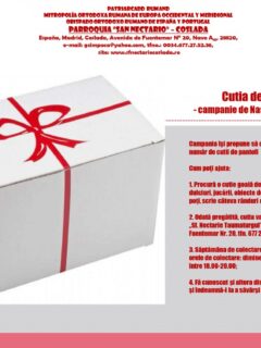 Cutia de pantofi