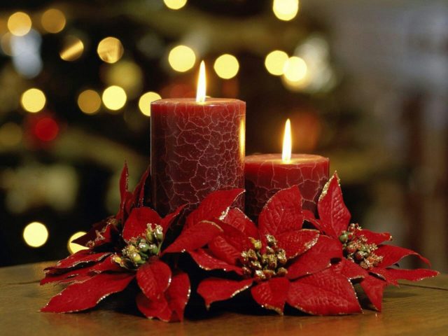 243779_445048815558861_1428754497_o