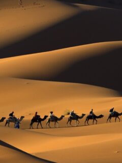 Camel-trekking-in-Erg-Chebbi