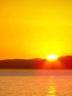 Rasarit-In-Vis