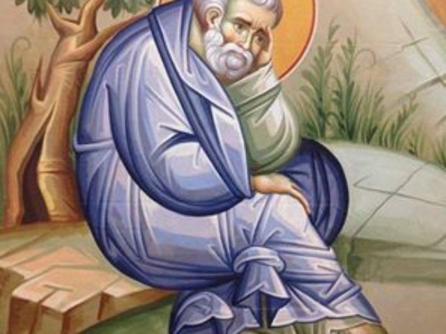 10155601_928303970535243_2989089261360815123_n