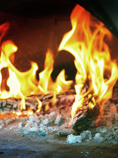 foc