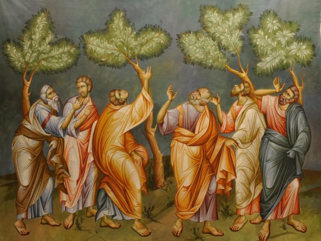 411846_3740255583809_1034389145_o