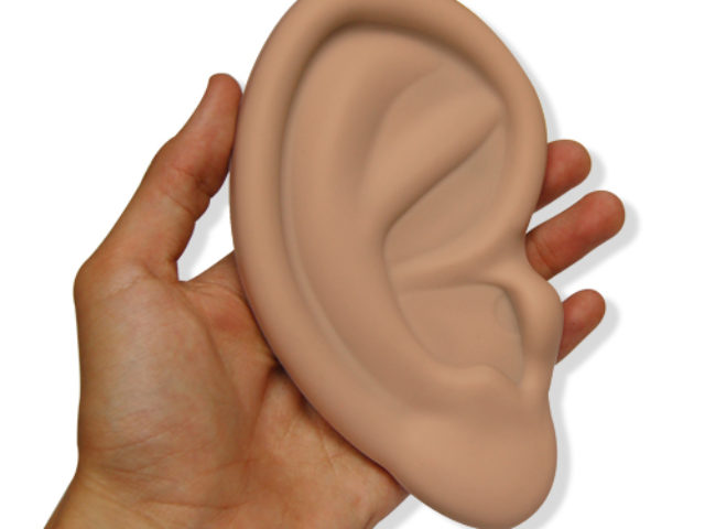 1034_image4_ear_in_hand_lowres