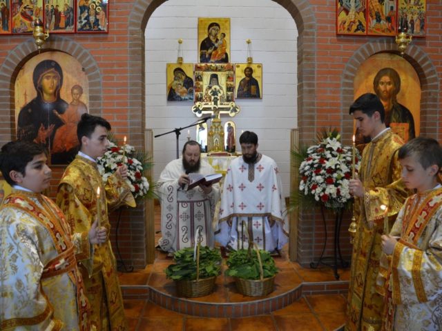 11312876_962535663778740_610806713497103027_o