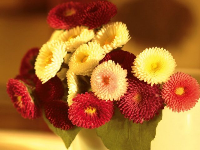 extraordinary-flowers-hd-photo-bouquet-photograph-desktop-pc-wallpaper-terrific-floral-wallpaper-tumblr-