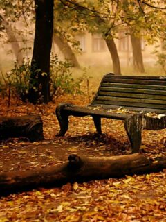 banca-in-parc-park_1280x102423