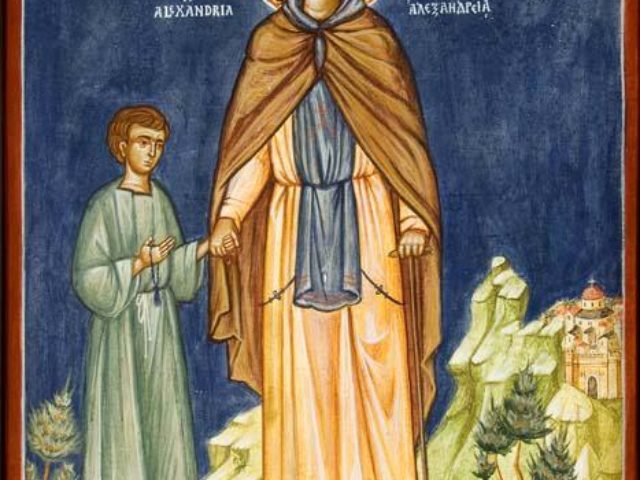 185087_240019492786823_1771563811_n