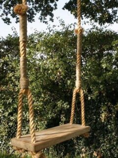 SWINGONOWN10(1)